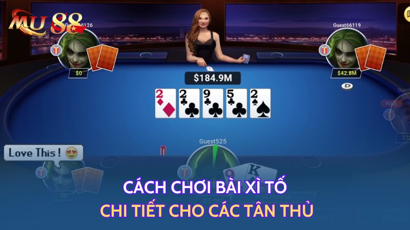 Cách chơi Xì tố chi tiết cho các tân thủ