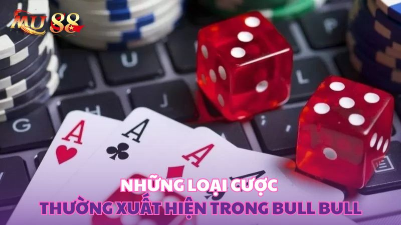 Những loại cược thường xuất hiện trong Bull Bull